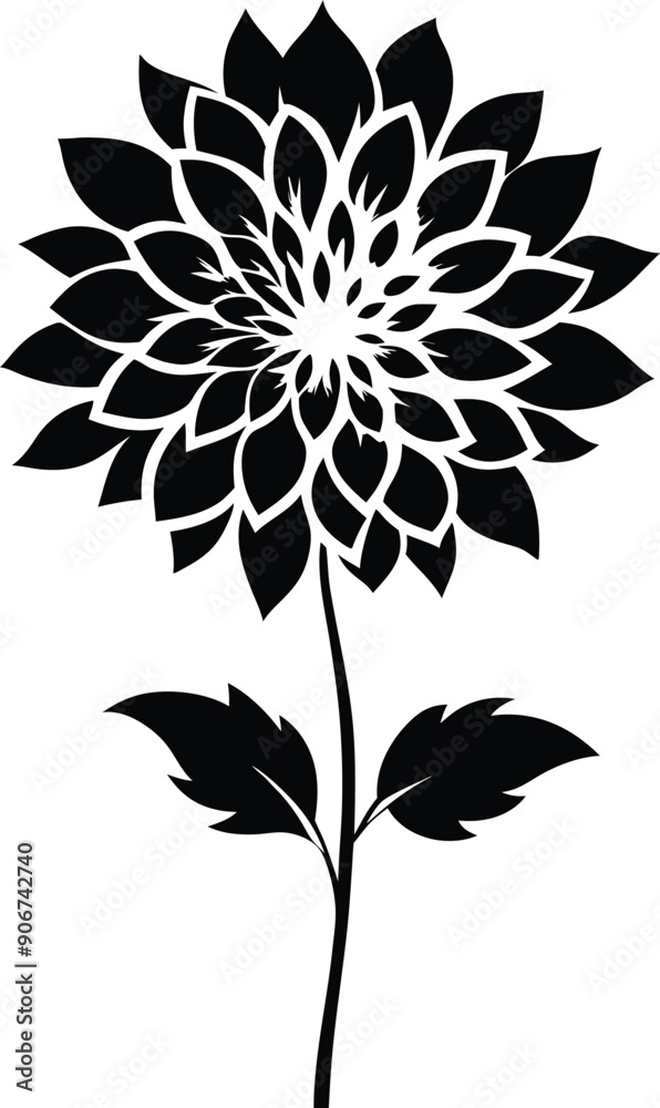 Black and white dahlia silhouette Black and white dahlia silhouette