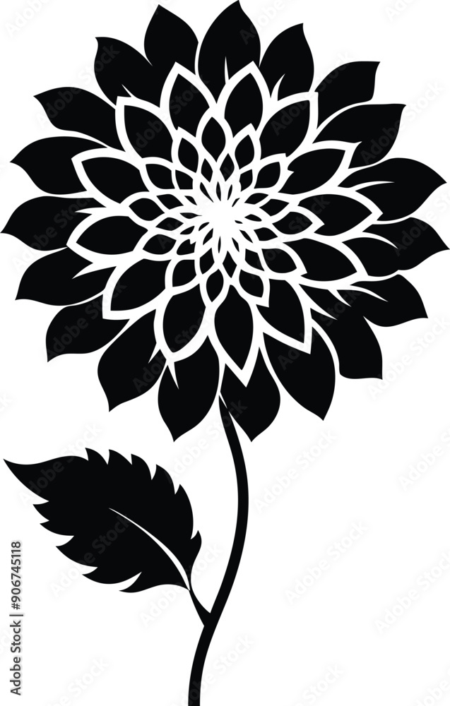 Black and white dahlia silhouette Black and white dahlia silhouette