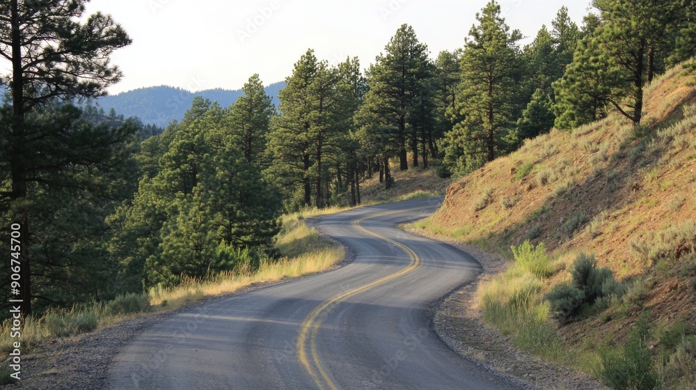 Ascending Pine-Covered Hill: Journey through Nature's Majesty Ascending Pine-Covered Hill: Journey through Nature's Majesty