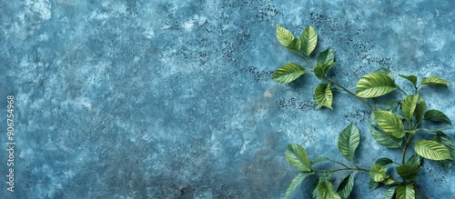 Flat lay plant green leaves blue textured background A green lea photo