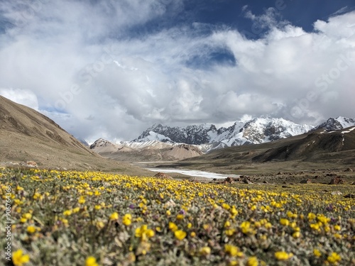 Breathtaking Views of Shimshal Pass in the Pamir Mountains. Shimshal Valley is a remote and breathtakingly beautiful area known for its high-altitude landscapes, rugged mountains, and many more.