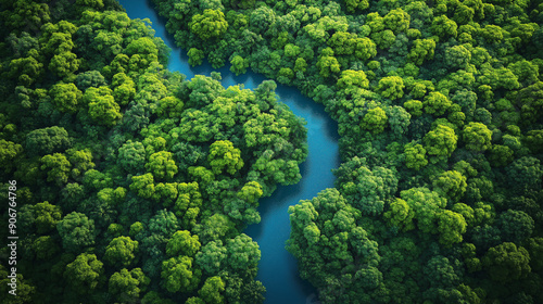 An aerial view of a winding river cutting through a lush green forest, showcasing natural beauty and serenity.