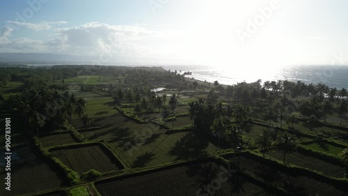 Aerial view of paddy terrace field located near the beach in Batukaras, Pangandaran, West Java Indonesia. Newly planted rice seedlings with coconut palm trees background in the morning. photo