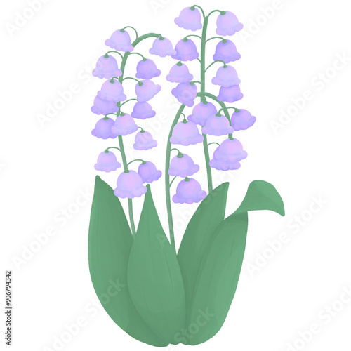 Lily of the Valley Bluebell Flower Floral Botanical Spring Nature