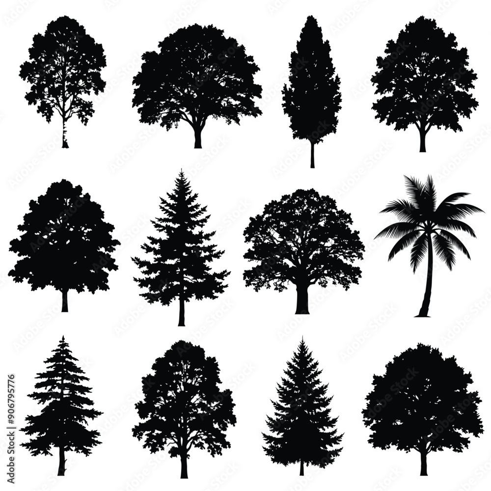 Fototapeta premium Detailed tree silhouettes set of various trees, vector illustration