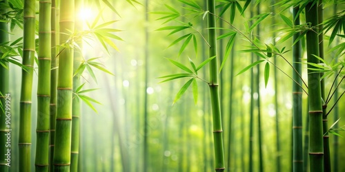 Green bamboo wallpaper with a serene nature background featuring a beautiful bamboo forest, green, bamboo, wallpaper