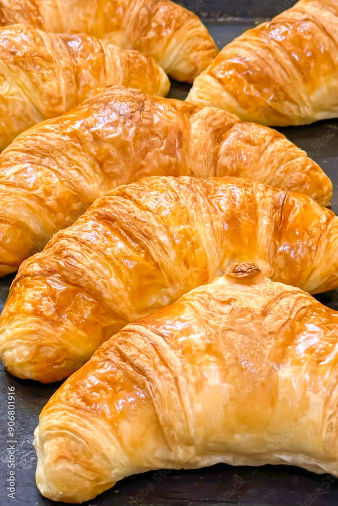 Freshly baked golden croissants arranged neatly on baking tray in bakery or cafe, ready to be served in morning. Warm lighting emphasizes croissants perfectly crisp layers. Vertical format Freshly baked golden croissants arranged neatly on baking tray in bakery or cafe, ready to be served in morning. Warm lighting emphasizes croissants perfectly crisp layers. Vertical format