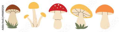 Simple flat style mushrooms set