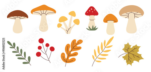 Simple flat style mushrooms and autumn leaves set. Hand drawn cute and cozy design elements. Fall, autumn season