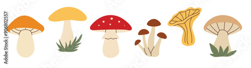 Simple flat style mushrooms set