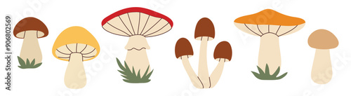 Simple flat style mushrooms set