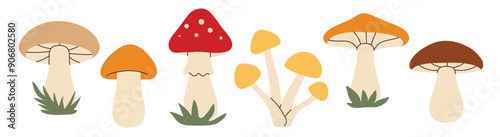 Simple flat style mushrooms set