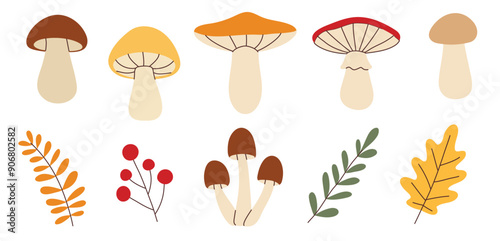 Simple flat style mushrooms and autumn leaves set. Hand drawn cute and cozy design elements. Fall, autumn season