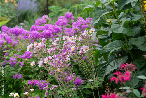 Wallpaper Mural mostly japanese anemone and pink phlox with some monarda flowers in the lower right corner Torontodigital.ca