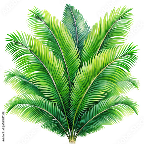 Watercolor clipart tropical sago palm leaves, broad and lush, vibrant green, transparent background