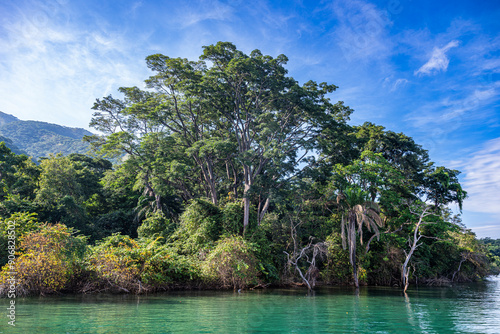 Rain forest in the Gombe Stream National Park, Lake Tanganyika, Tanzania, East Africa, Africa photo