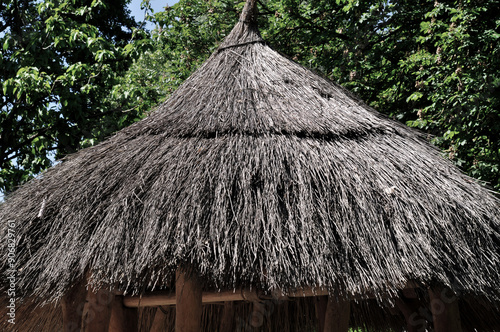 thatched roof cottage