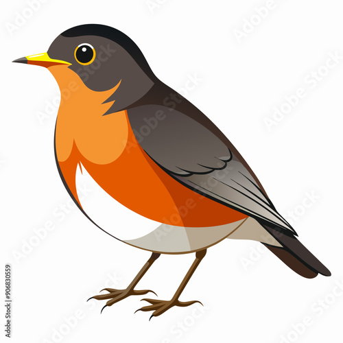 Robin on a branch, robin vector illustration, robin vector art, robin silhouette, bird vector icon, eps