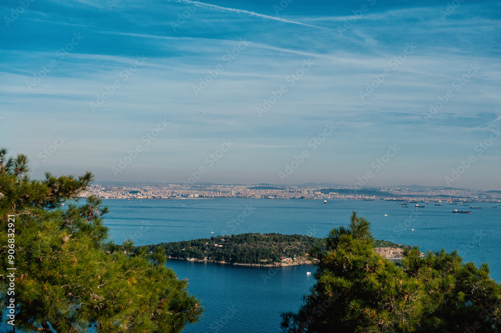 View of Istanbul skyline from Buyukada Island, with the sea and greenery in the foreground, under a blue sky View of Istanbul skyline from Buyukada Island, with the sea and greenery in the foreground, under a blue sky