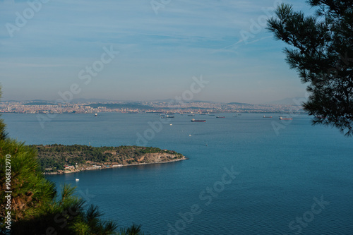 View of Istanbul skyline from Buyukada Island, with the sea and greenery in the foreground, under a blue sky