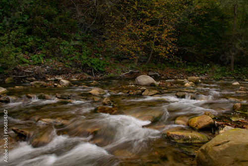 mountain river in the forest