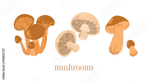Forest mushrooms set. Mushrooms cartoon forest raw ingredients. Isolated honeydew, champignon, porcini mushroom, autumn plants and vegetarian food, racy vector set