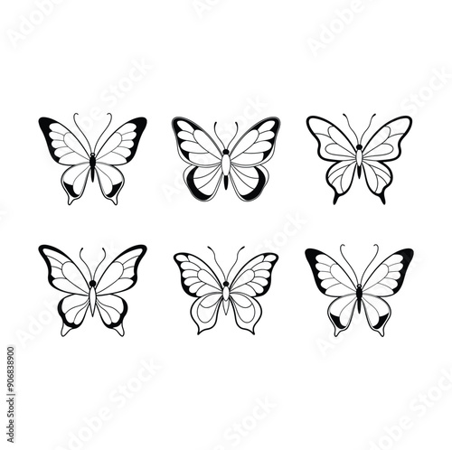 Butterfly a colorful butterfly vector illustrations