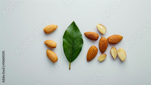 Prompt with a single almond, a leaf, and some blanched almonds.