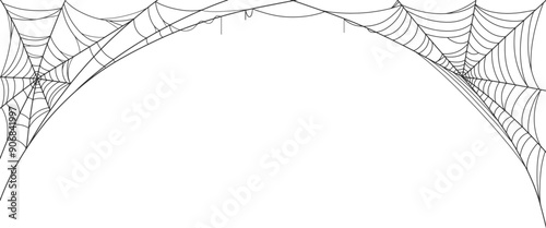 frame with spider web, Spider web line art vector eps