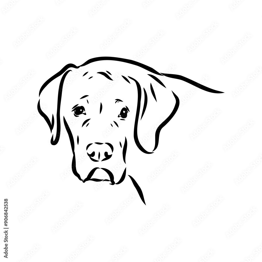 Hand drawn sketch of american bully. Graphical dog isolated on white background. Hand drawn sketch of american bully. Graphical dog isolated on white background.