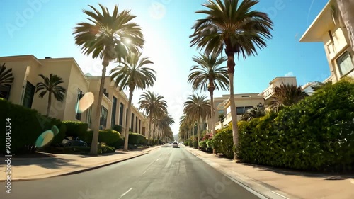 Camera movement along a road with palm trees. Tropical city for vacation rest. View from a car driving along a street of a resort town. Around expensive hotels, villas and houses. Holiday background.