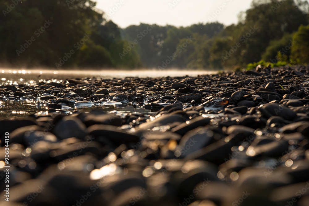 Fototapeta premium morning at the river