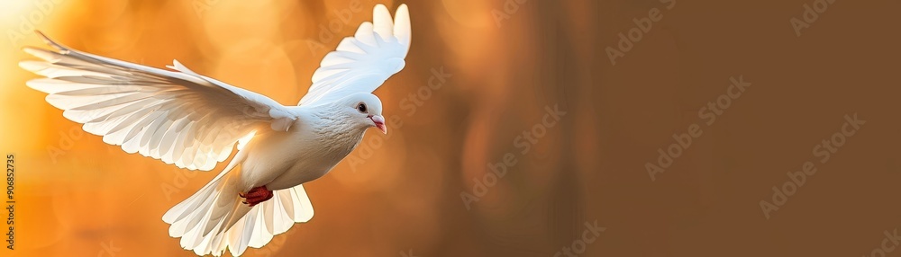 Obraz premium Peaceful White Dove Soaring at Sunset with Copy Space for International Peace Day Message - Deep Depth of Field