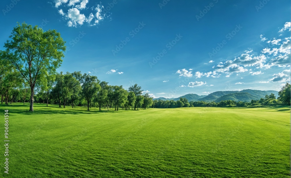 Beautiful landscape green field clear blue sky sun the golf cour Beautiful landscape green field clear blue sky sun the golf cour