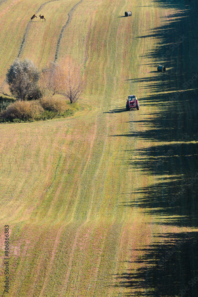 Suwalszczyzna Prace w Polu