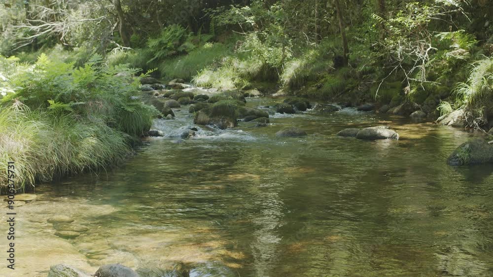 Mountain clear stream in the forest, natural landscape on a sunny summer day. Mountain clear stream in the forest, natural landscape on a sunny summer day.