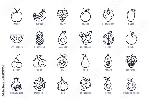 Set of fruits icons vector illustration. icons bundle isolated on white background