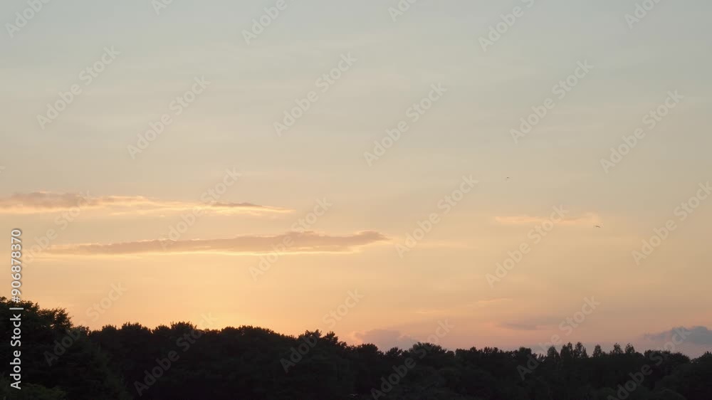 金色に輝く夕焼け空と寝床へ帰る鳥 金色に輝く夕焼け空と寝床へ帰る鳥