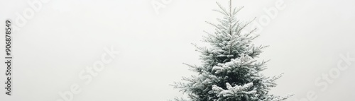 Wallpaper Mural Festive Christmas Tree Close-Up with Artistic Empty Space for Text on White Background Torontodigital.ca