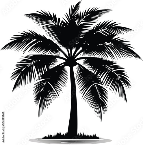 palm trees silhouettes