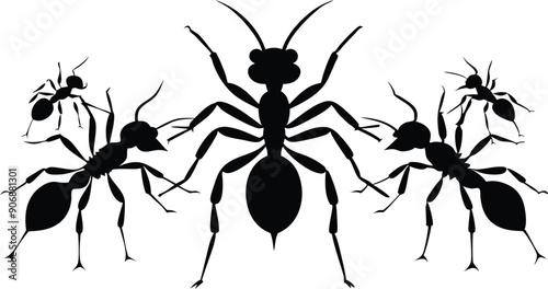 set of silhouettes of ants
