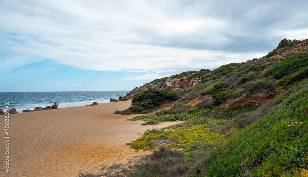 A secluded sandy beach bordered by rugged cliffs and Mediterranean shrubbery, with a solitary figure walking by the water under a partly cloudy sky. A secluded sandy beach bordered by rugged cliffs and Mediterranean shrubbery, with a solitary figure walking by the water under a partly cloudy sky.