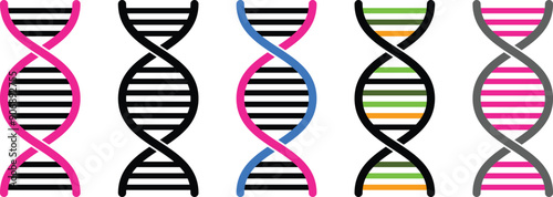Easy to use structure of DNA
