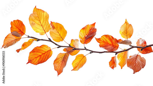 Autumn fall leaves on a branch clip art