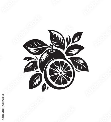 Orange fruit silhouette vector,black and white color