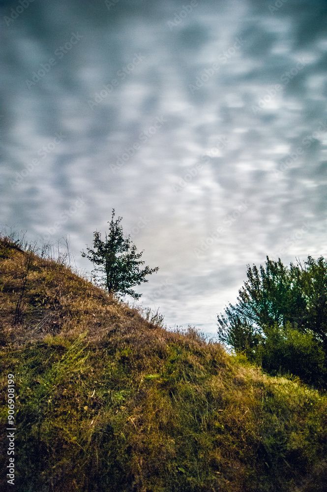 a hill on which grows a small tree, with a bush growing next to it, against a blue sky with blurred white clouds illuminated by a bright moon a hill on which grows a small tree, with a bush growing next to it, against a blue sky with blurred white clouds illuminated by a bright moon