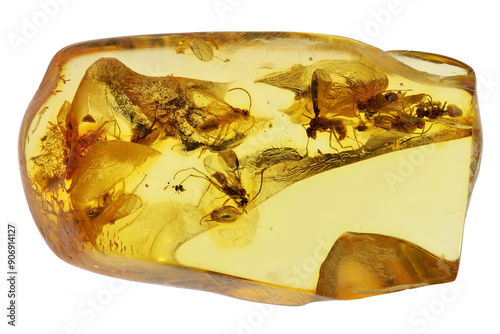 winged ants imprisioned in Baltic amber isolated on white background photo