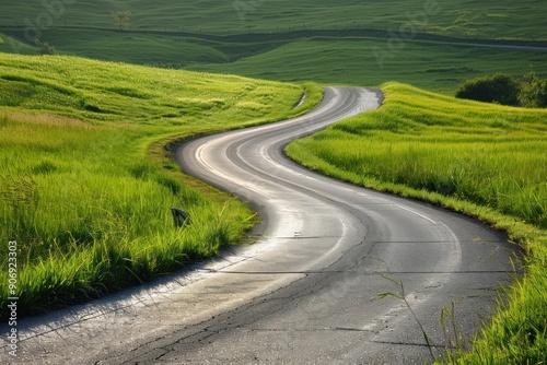 A road that is curving through a grassy field