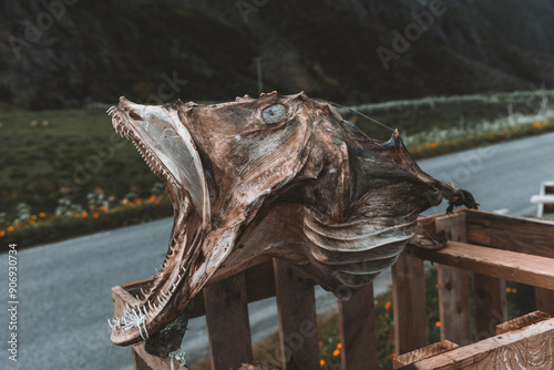 Norway Fish dried