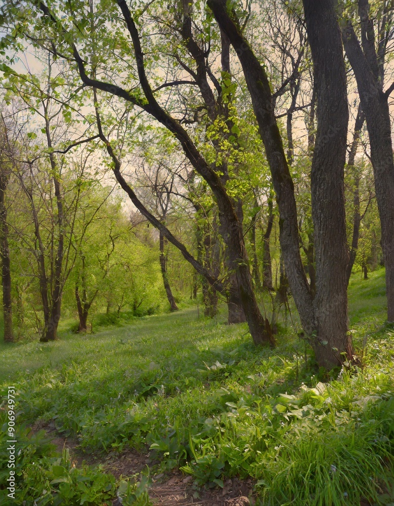 Spring Nature. Beautiful Landscape. Park with Green Grass and Trees. Tranquil Background Spring Nature. Beautiful Landscape. Park with Green Grass and Trees. Tranquil Background